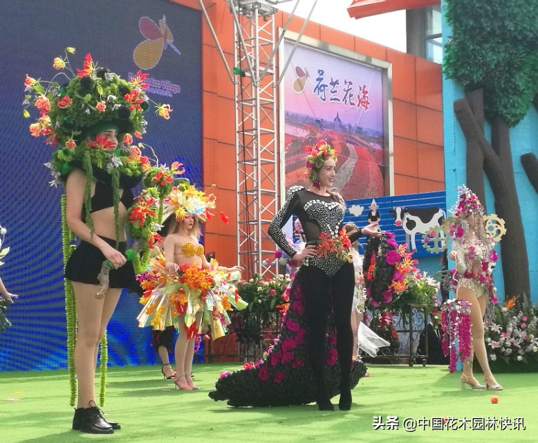 荷兰花海花艺节,荷兰花海国际花艺