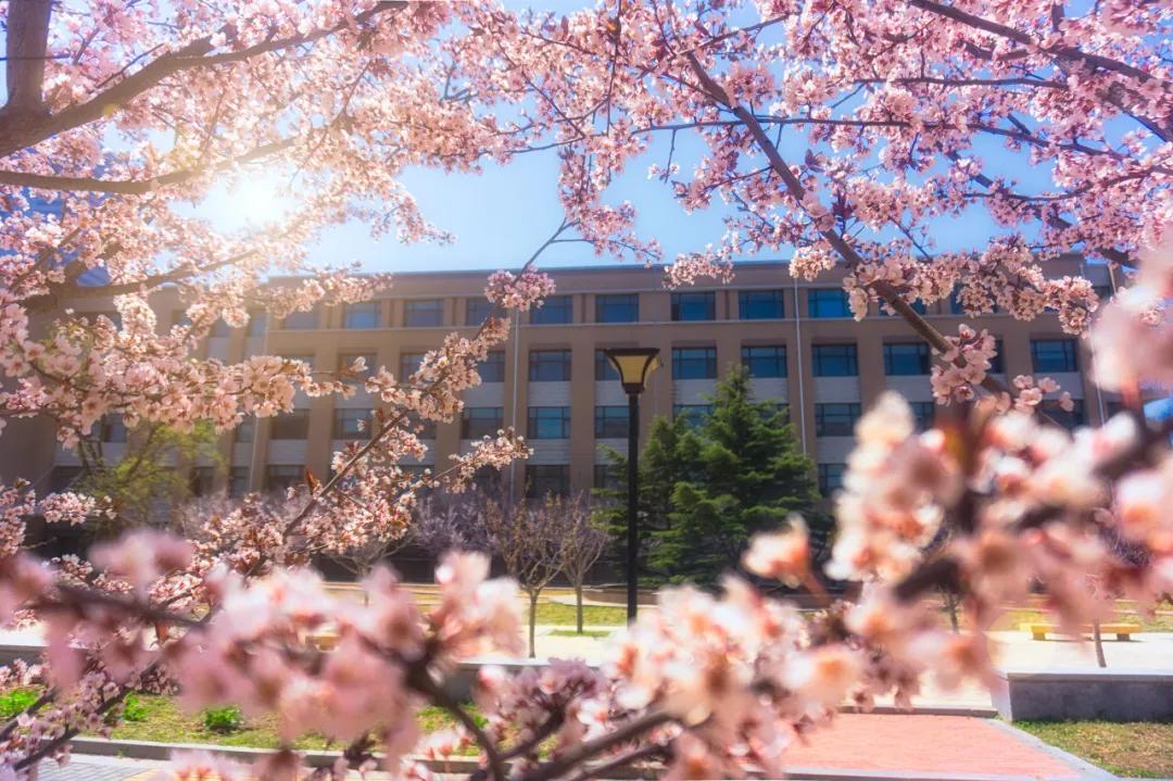 美过三亚!比厦门浪漫!中国这座海滨老城,去一次相当于环游世界
