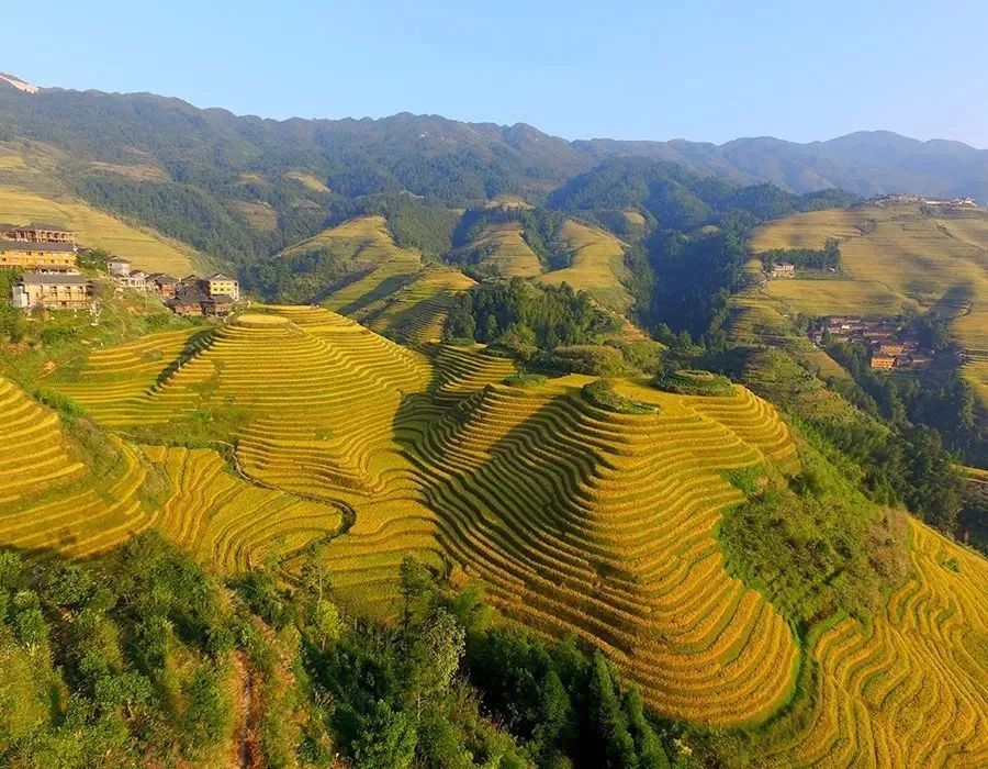 「漫步学府，行摄龙脊」最美金秋，我在这里等你