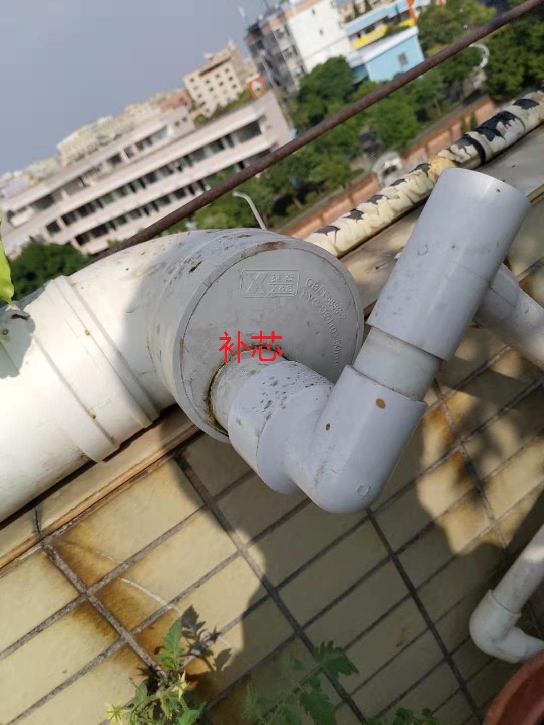 龟菜共生系统,龟菜共生图纸