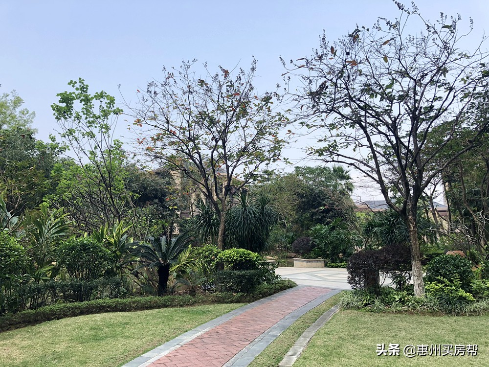 惠州买房需要哪些条件,2023年惠州买房攻略