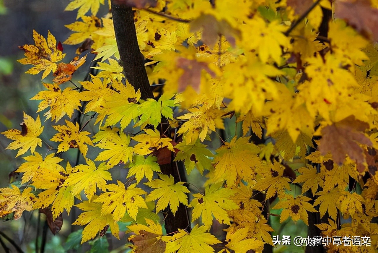 中考语文常考180个文言实词,高考语文120个文言实词