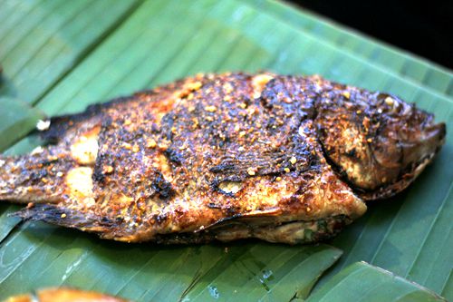 口味确实不错舌尖上的烤全羊,舌尖上的乡村草原特制烤全羊