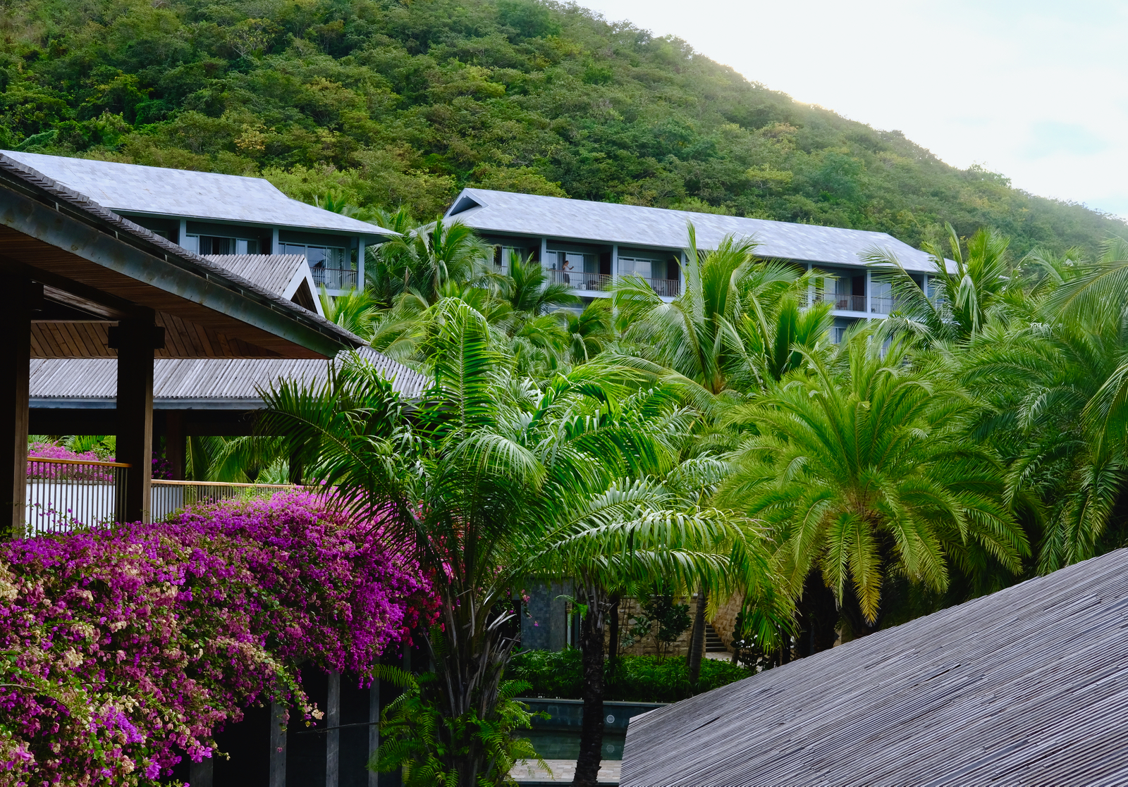 三亚旅行笔记|才刚离开,就开始期待下一次