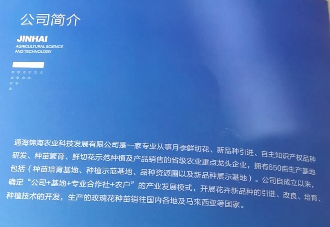 云南省通海县骄阳花卉种苗专业合作社风采(组图)