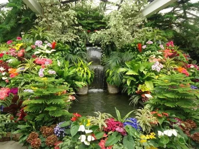 懒人花园植物,懒人花草100种