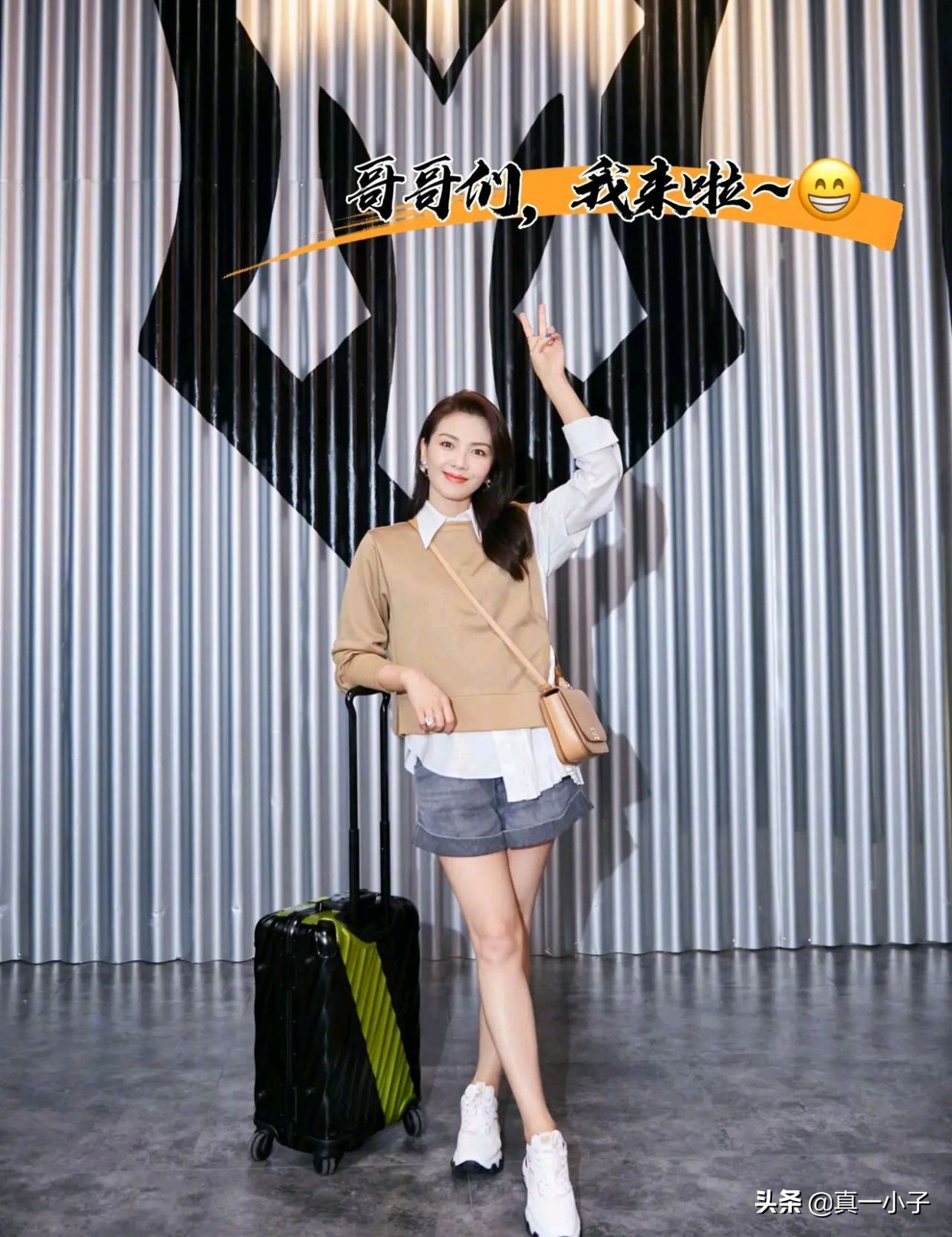 刘涛类型的女明星,刘涛堪称娱乐圈最成功女艺人