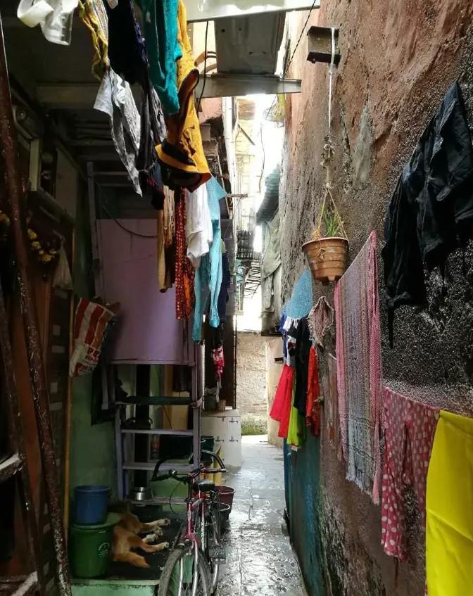 瞒不住了！这个国家感染人数可能破5亿！上千万人或丧命！