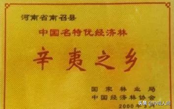 南阳怎样?看完你也会说“中!中!中!”