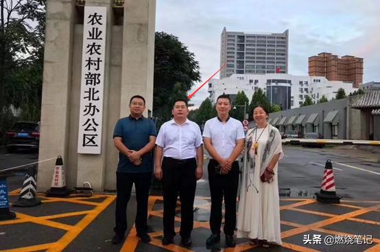 良田优大米,粮田优米稻花香米