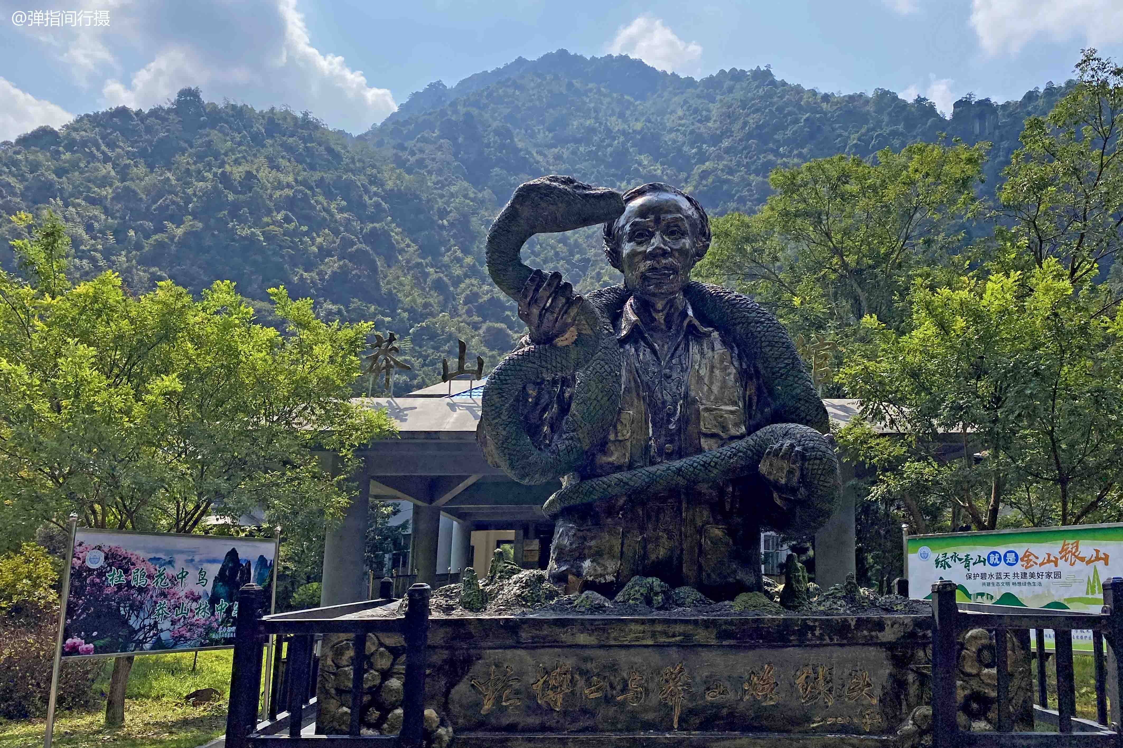 小青龙有多大150克,小青龙有多厉害