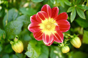 有深意的个性签名句句经典,个性签名经典语录精辟的短句