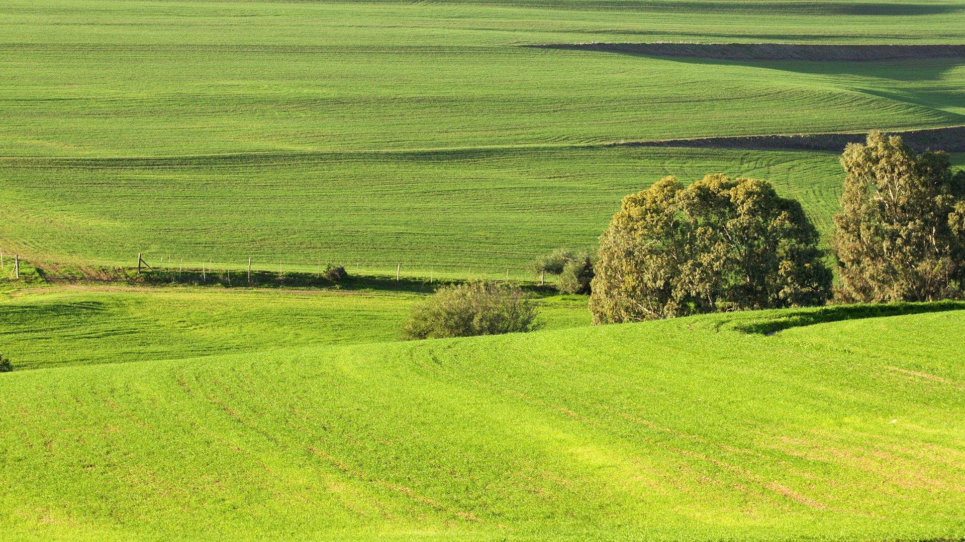蓝色护眼壁纸唯美图片,最美的护眼桌面壁纸
