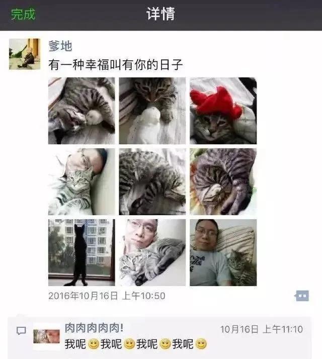 养猫后儿子鼻过敏,妈妈心生一计:不如你搬出去住吧!