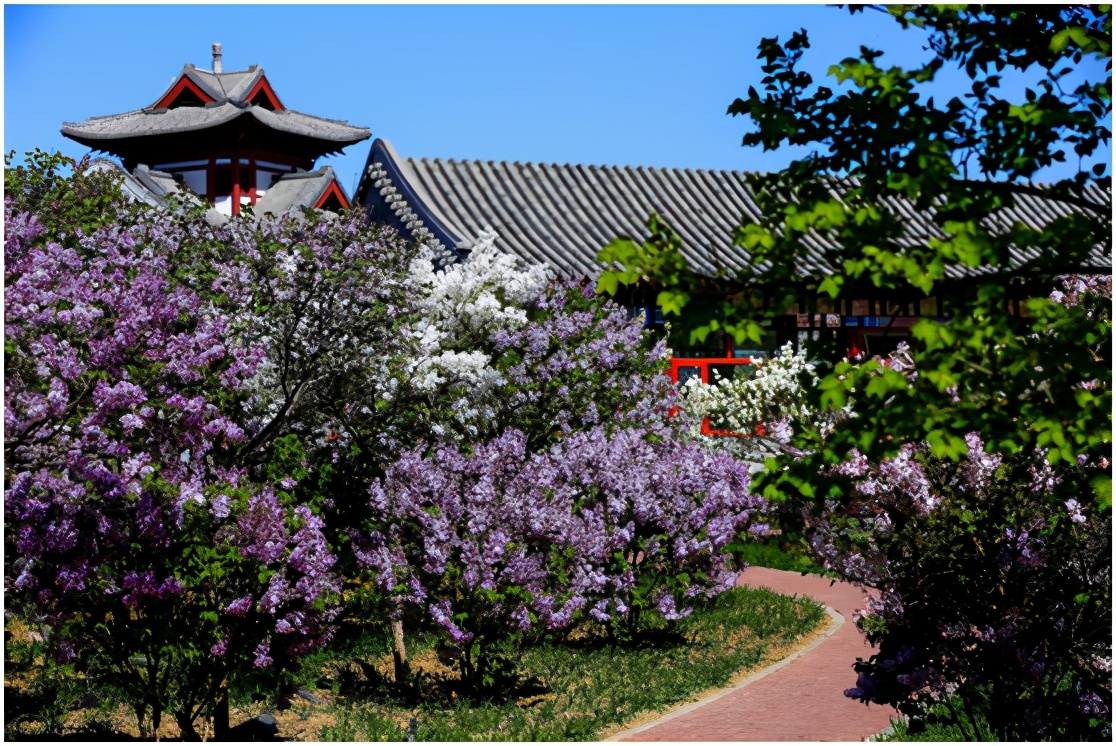 北京4月踏青的地方丰台区有哪些,丰台踏青好去处
