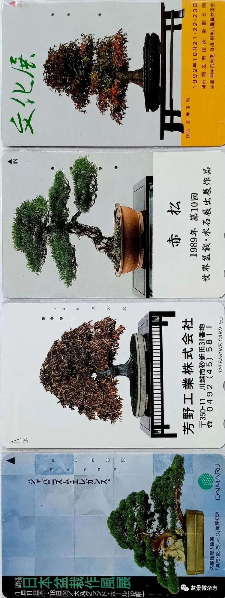 鐩嗘櫙鑱旂郴鐢佃瘽,鐩嗘櫙鑱旂郴鐢佃瘽鍙风爜