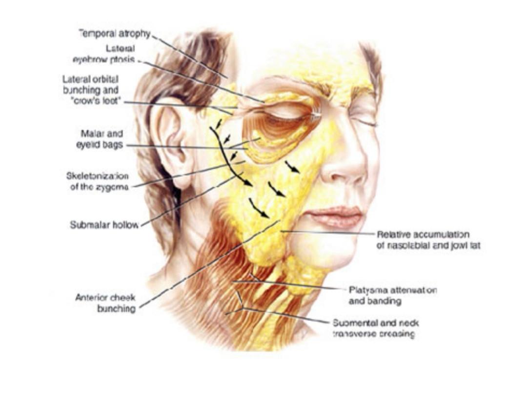 逆天侧颜女,逆天绝世容颜