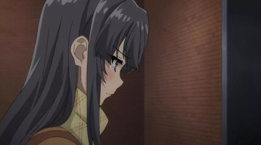 樱岛麻衣解析,樱岛麻衣深度解析