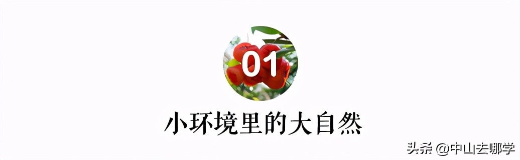 沙溪华发四季幼儿园,中山市沙溪港头幼儿园