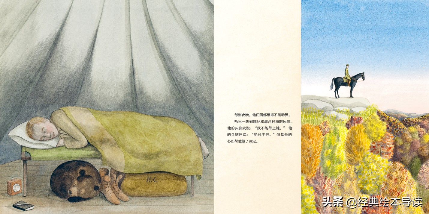 一只世界著名小熊的真实故事——《寻找维尼》导读