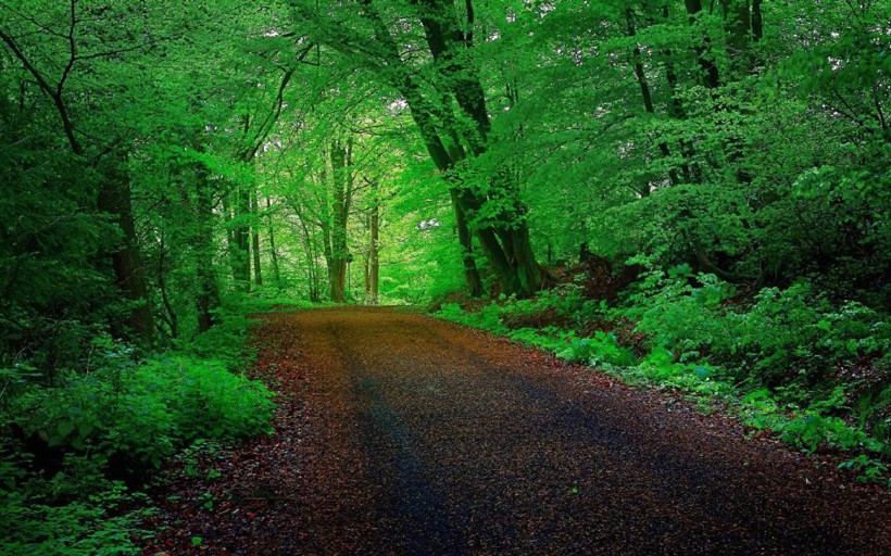 处事低调却深藏不露的星座,超然物外淡泊名利的星座有哪些