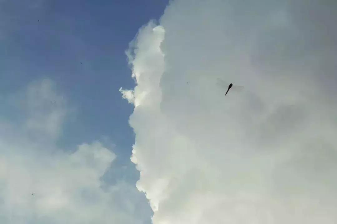 徕卡d-lux7和徕卡c-lux哪个好,徕卡相机c-lux摄影技巧