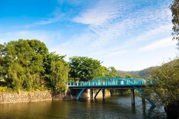 广东高职高考应该看什么,中山职业技术学院2024招生简章