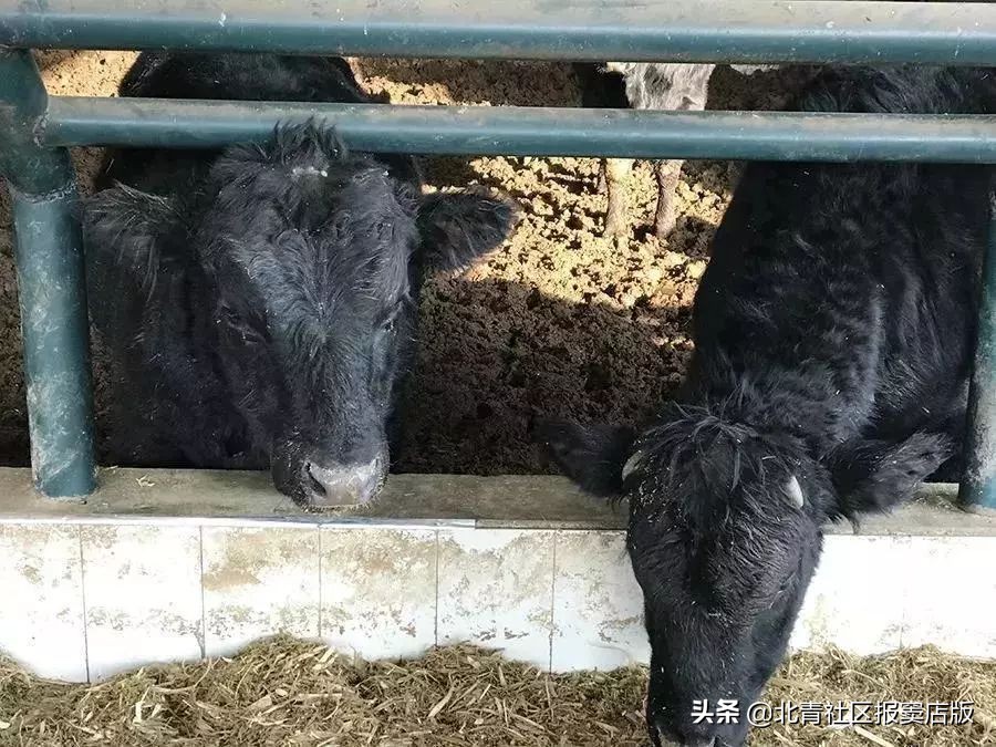 搜一搜就知道了,搜一搜商家会怎么样