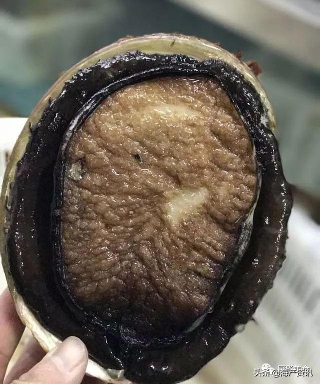 全世界顶级的4种海鲜,世界十大名贵海鲜