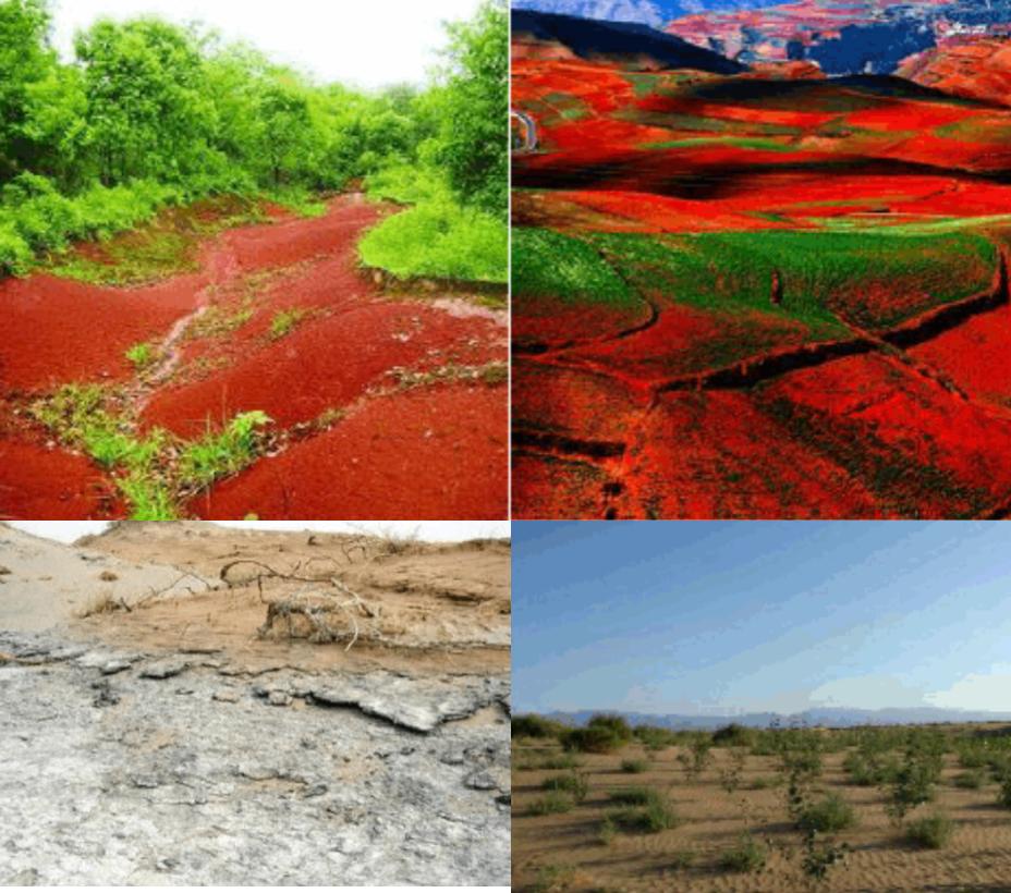 金坷垃到底是什么东西啊,金坷垃的真实成分到底是什么