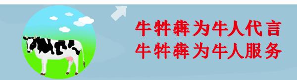 怎么辨别奶牛的奶真假,奶牛分娩前有哪些征兆