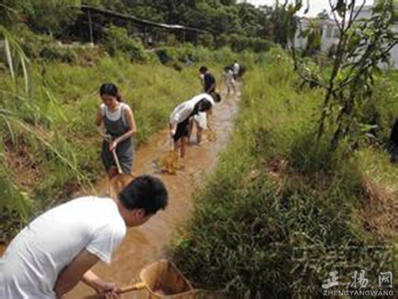 童年野外捉鱼,童年溪边捉鱼