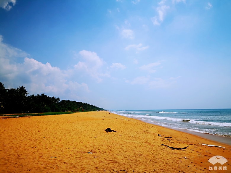 必须为亚航餐饮打call!椰浆鸡肉饭太惊艳了,真正的物美价廉
