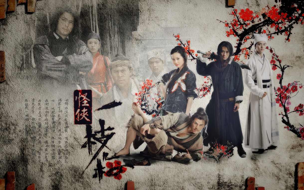 怪侠一枝梅电视剧全集解说,侠盗一枝梅电影在线观看