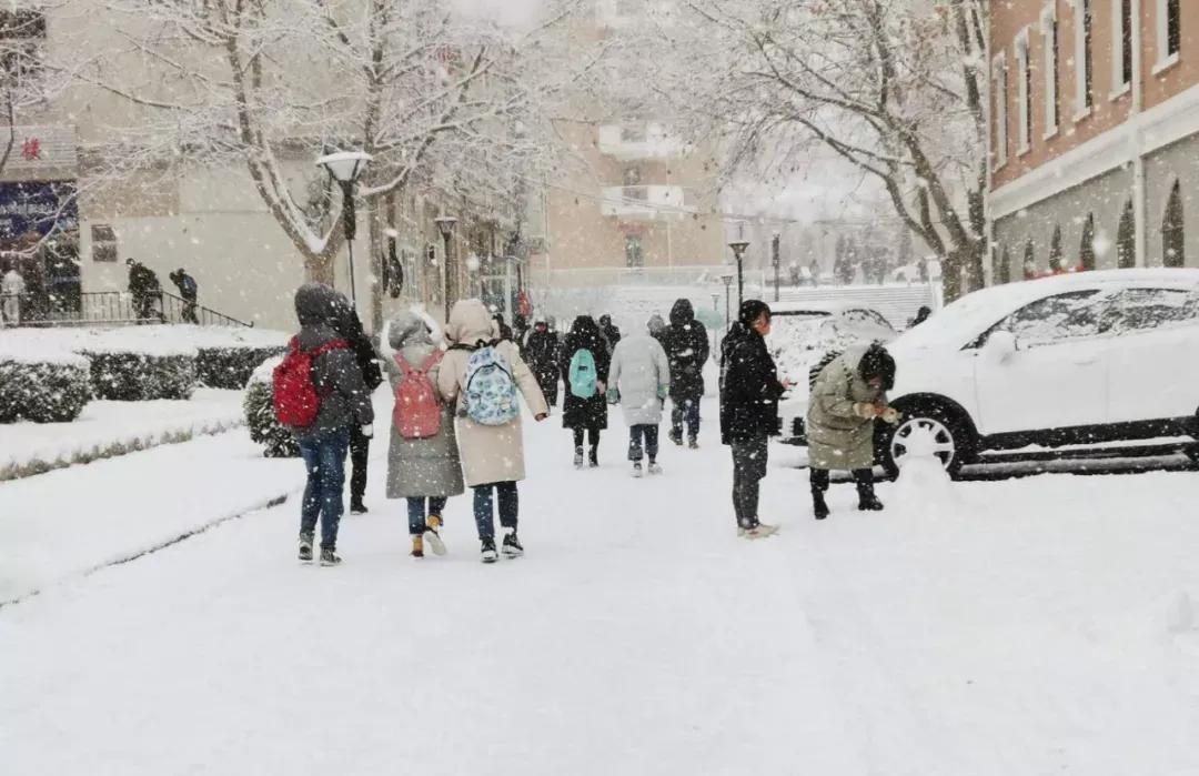 大连海事大学和辽宁省哪个级别高,大连海事大学辽宁省大学排名