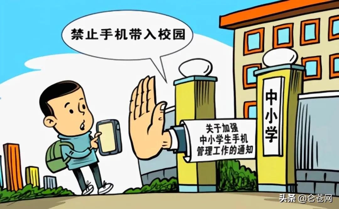 南安市仑苍镇第一小学,福建南安仑苍第一小学