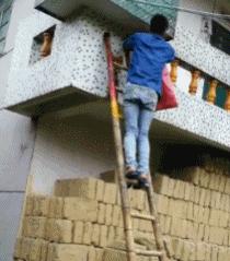 搞笑gif惊讶原来渣猫长这个样子,搞笑gif段子最后这只猫也太萌了吧