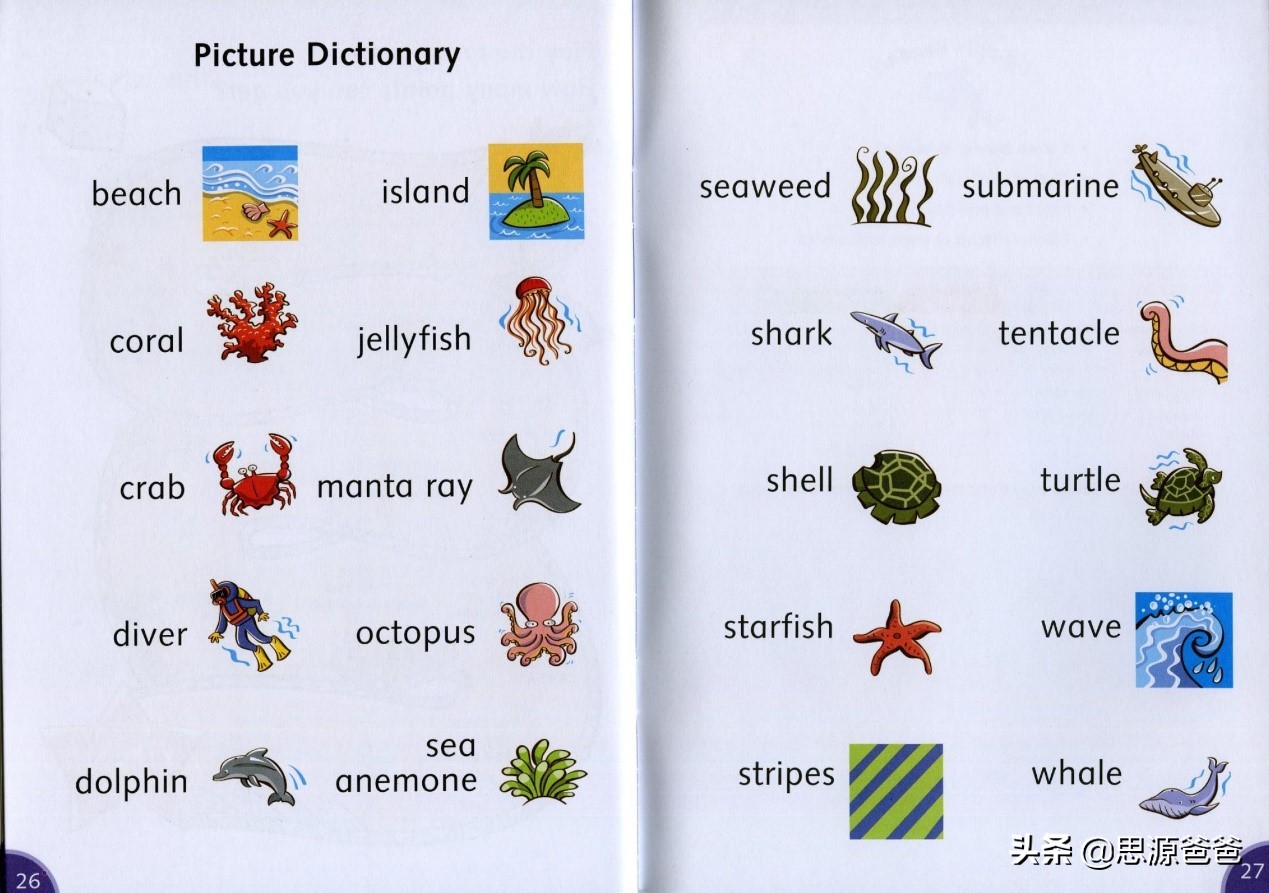 英语培训机构内训课程,英语培训教材推荐