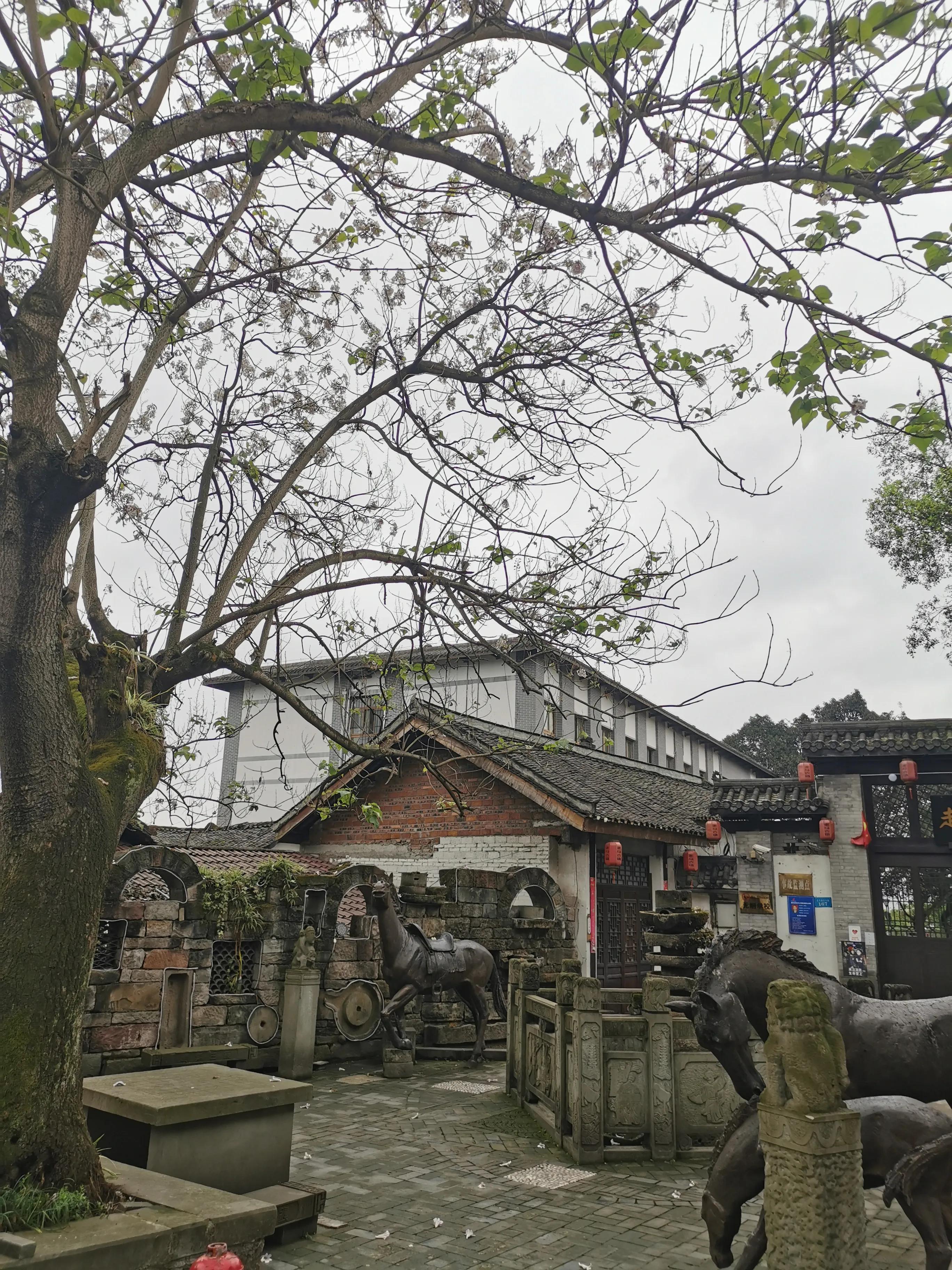 走马古镇全部图片,走马印象