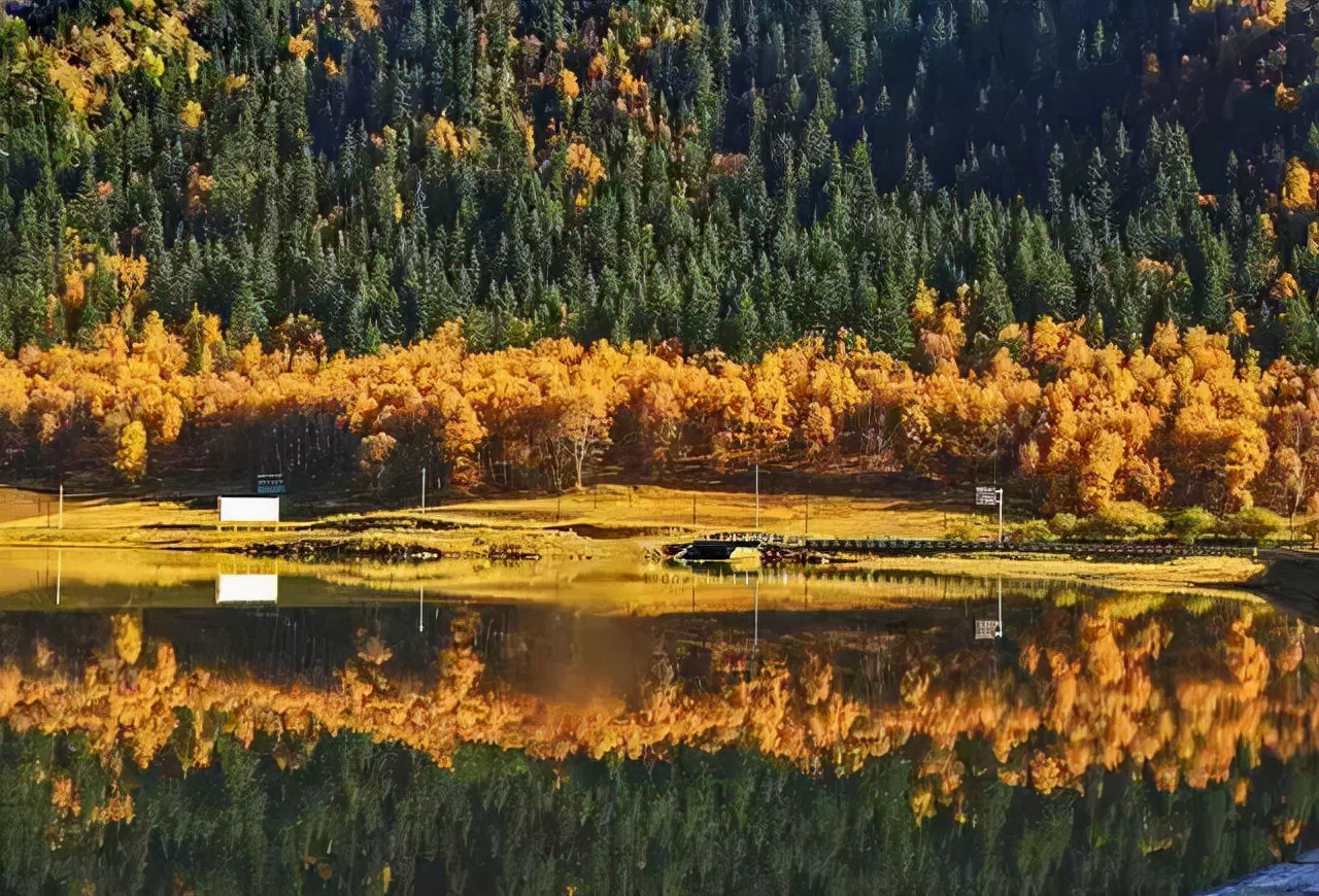 1011月错过它们,等于错过整个秋天!人少清净,随手一拍都是大片