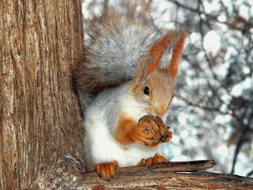 航空紧固件的小知识,认识航空螺母