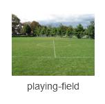 猫叔大战阿瑞斯,猫叔视频讲解全集