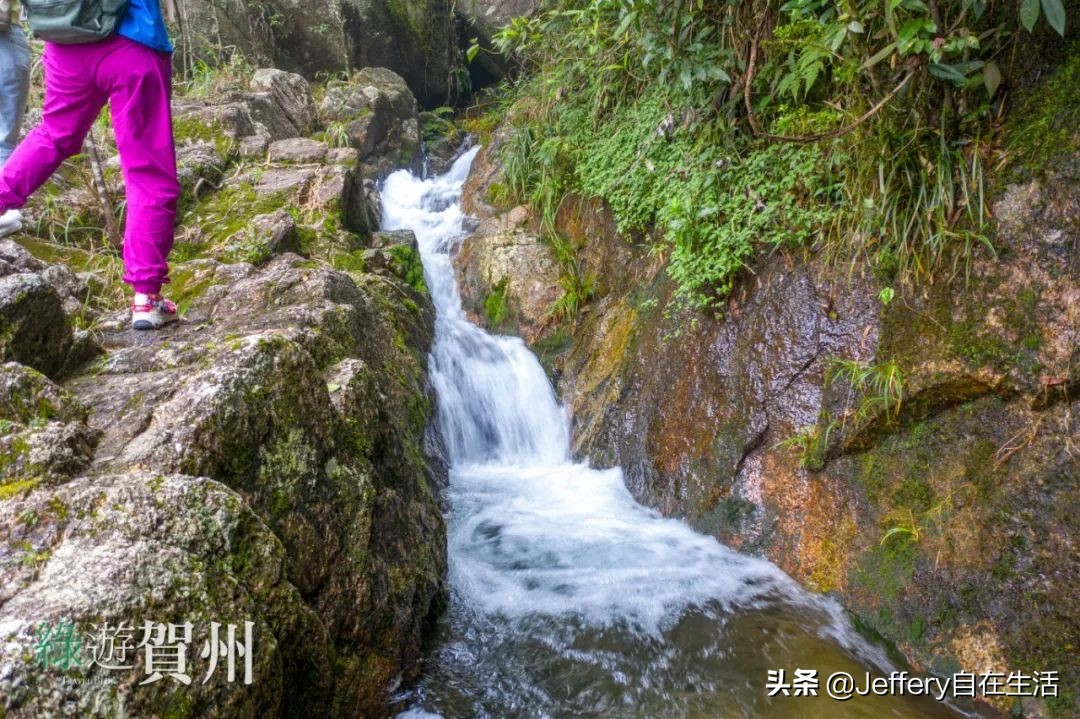 拍贺州｜莲塘镇大山深处的“一号基地”