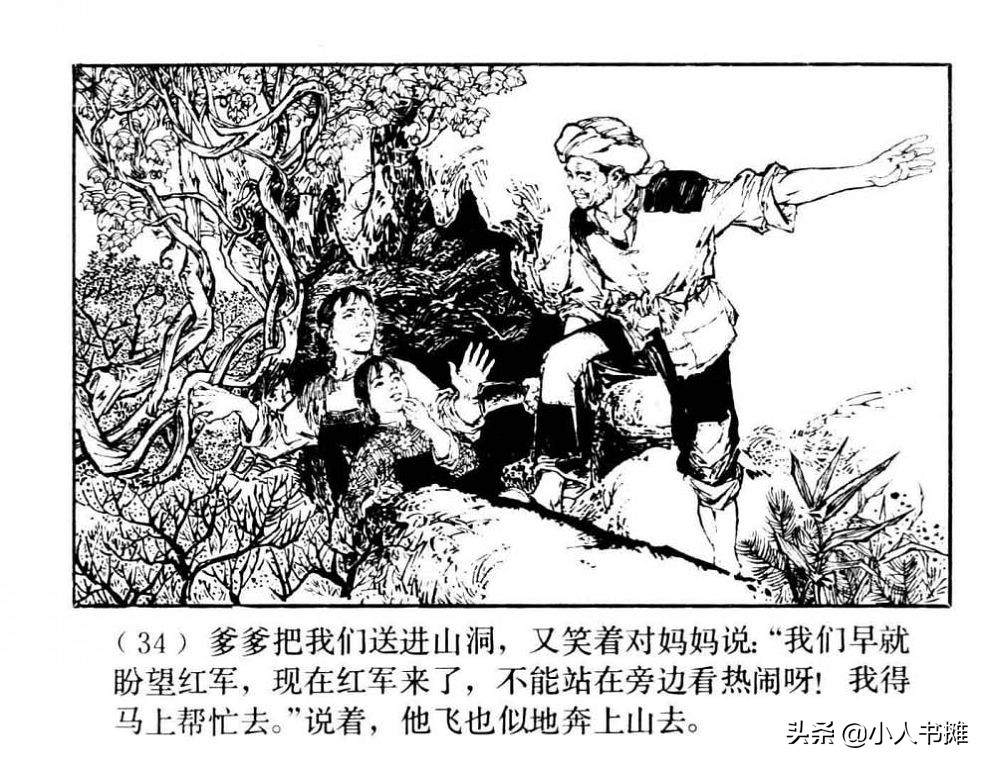 朝阳花-上海人民美术出版社1981陆成法陆小弟绘「上」