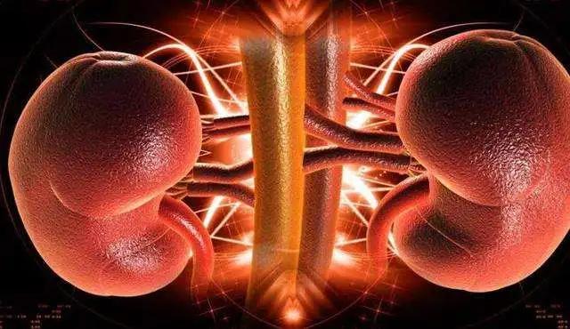 王肃季著名肾科专家,王肃季老中医治肾病药方