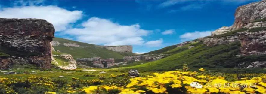 净土天峻高原牧场图片,净土天峻