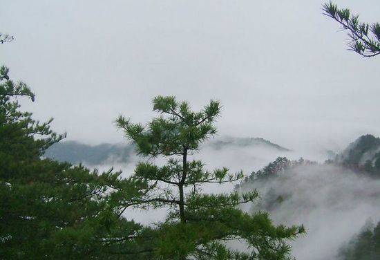 全国十大森林公园,中国十大森林公园