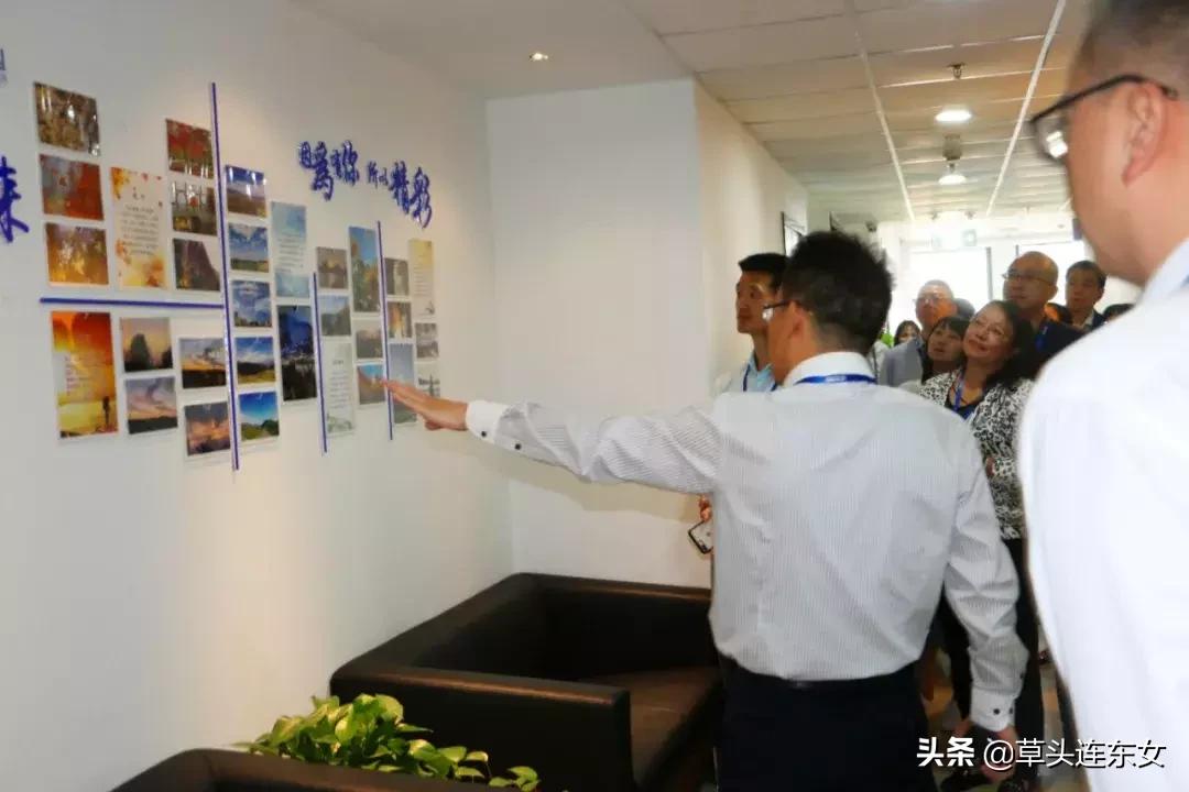 万达集团财务共享模式实践与启示,万达集团最新财务现状