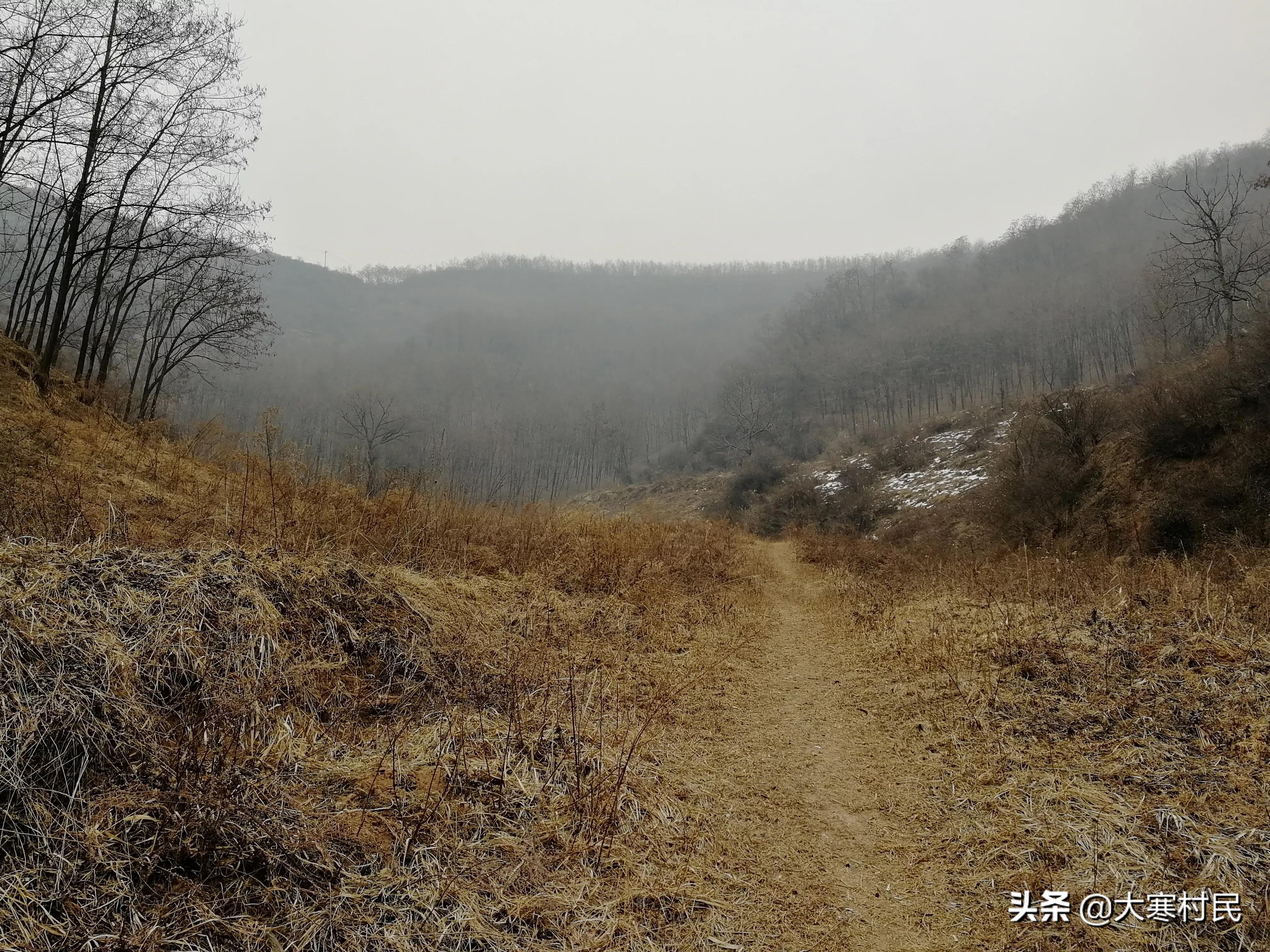 想象春天,想象中的春天