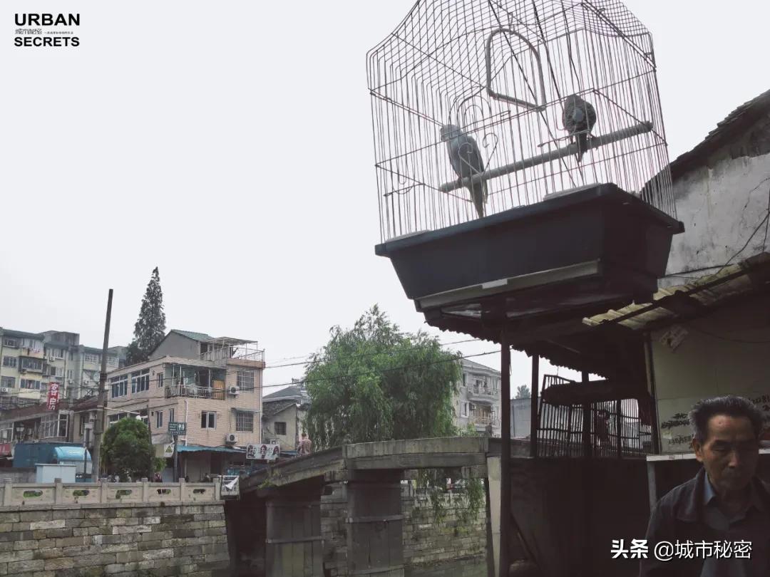 杭州旅游烟火气,杭州哪里还有江南风情